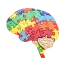 Brain Development